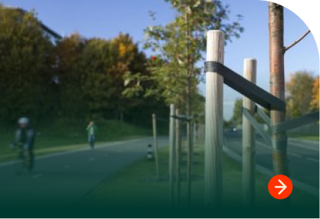 Wood tree stakes and protective guards along a roadside path