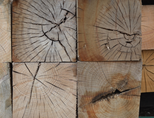 Your Industrial Hardwood Lumber Supplier Selection Guide