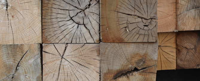 Large hardwood lumber shown from the end