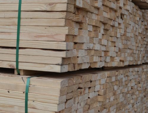 Southern Yellow Pine Lumber: What Industrial Buyers Need to Know